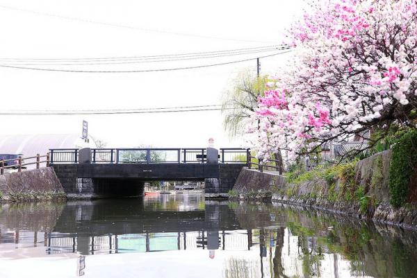 來九州也要穿和服 乘船欣賞柳川風景